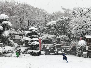 曹洞宗,宝泉寺,埼玉県,川口市,鳩ヶ谷,草加市,墓地,お墓,霊園,東川口,安行,新郷,寺,法事,法要,