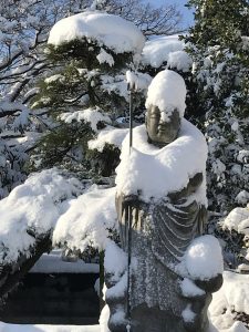 曹洞宗,宝泉寺,埼玉県,川口市,鳩ヶ谷,草加市,墓地,お墓,霊園,東川口,安行,新郷,寺,法事,法要,