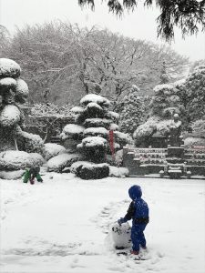 曹洞宗,宝泉寺,埼玉県,川口市,鳩ヶ谷,草加市,墓地,お墓,霊園,東川口,安行,新郷,寺,法事,法要,