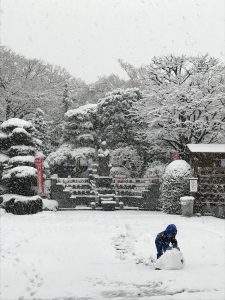 曹洞宗,宝泉寺,埼玉県,川口市,鳩ヶ谷,草加市,墓地,お墓,霊園,東川口,安行,新郷,寺,法事,法要,