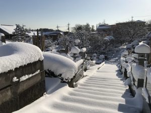 曹洞宗,宝泉寺,埼玉県,川口市,鳩ヶ谷,草加市,墓地,お墓,霊園,東川口,安行,新郷,寺,法事,法要,