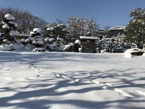 曹洞宗,宝泉寺,埼玉県,川口市,鳩ヶ谷,草加市,墓地,お墓,霊園,東川口,安行,新郷,寺,法事,法要,