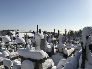 曹洞宗,宝泉寺,埼玉県,川口市,鳩ヶ谷,草加市,墓地,お墓,霊園,東川口,安行,新郷,寺,法事,法要,