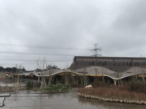 川口市,墓地,霊園,お墓