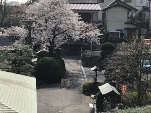 川口市,草加市,墓地,霊園,お墓